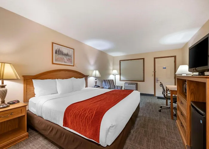 Surestay By Western Hotel
