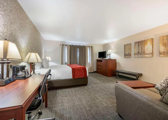 Surestay By Western Hotel Buffalo