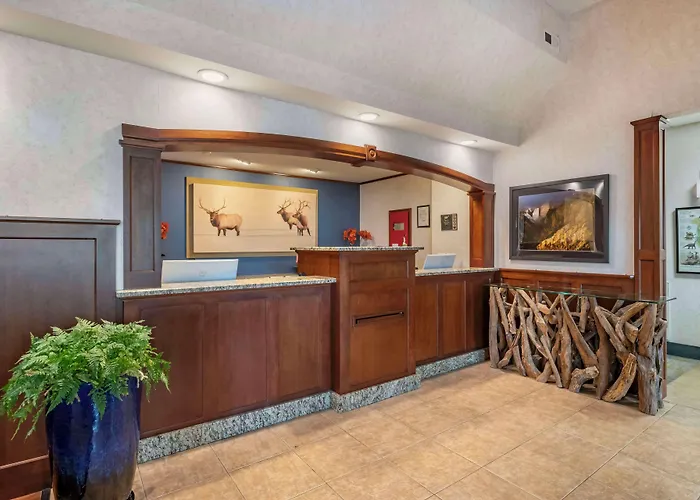Hotel Surestay By Western Buffalo