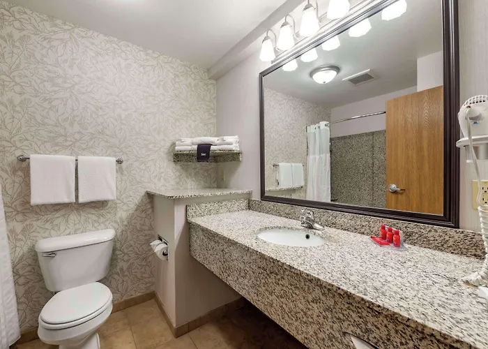 Surestay By Western Hotel 3*