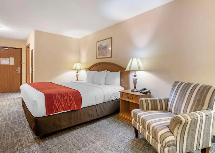 Hotel Surestay By Western 3*