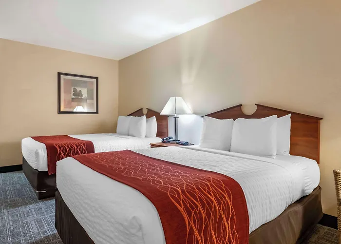 Surestay By Western 3* Buffalo