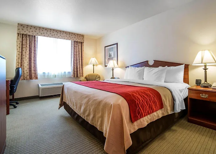 Surestay By Western 3*