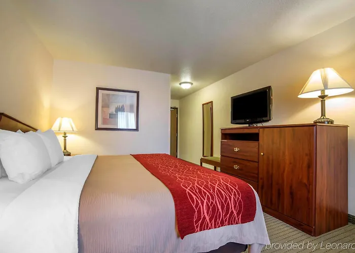 Hotel Surestay By Western Buffalo